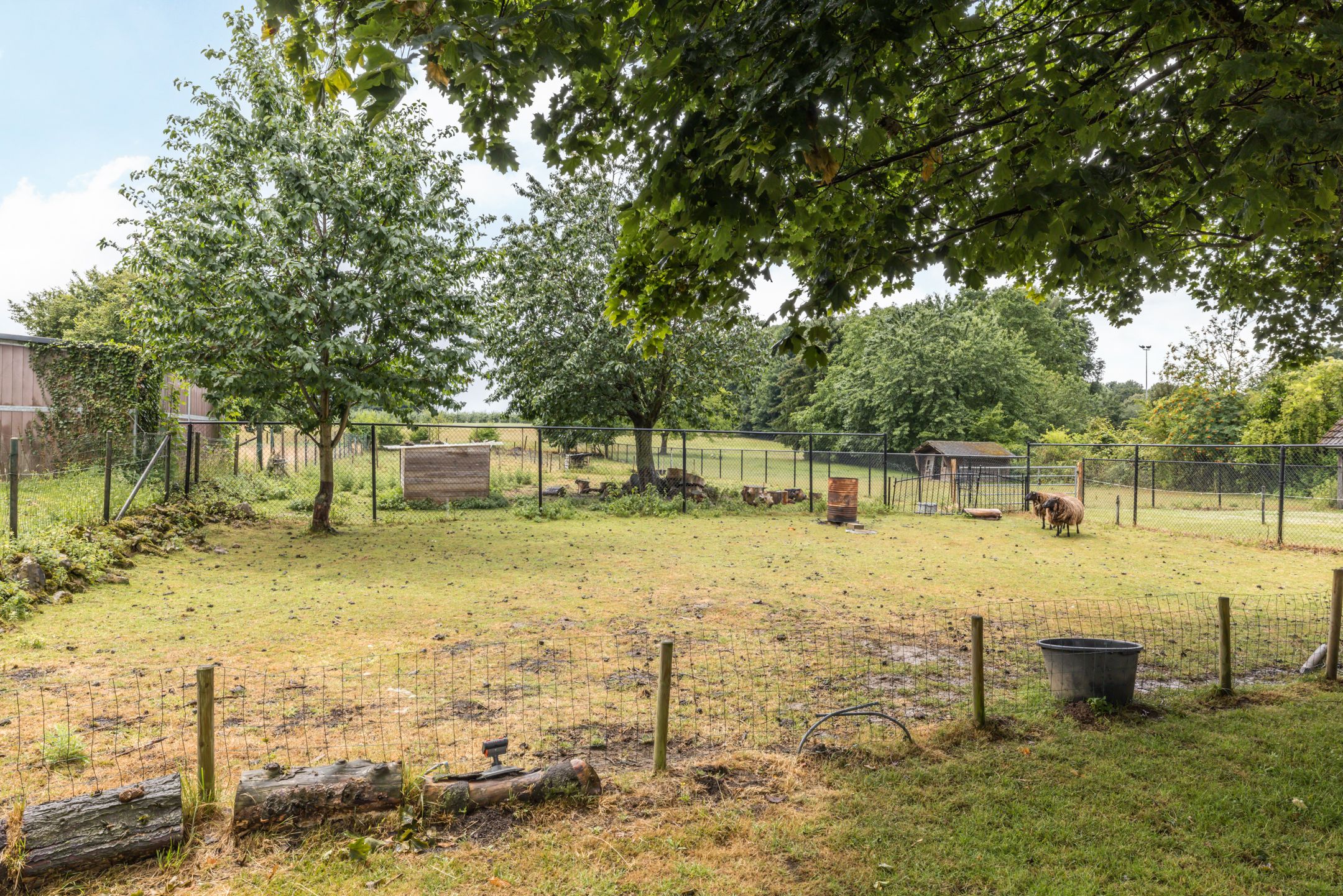 Foto 33 van Bekerbaan 11