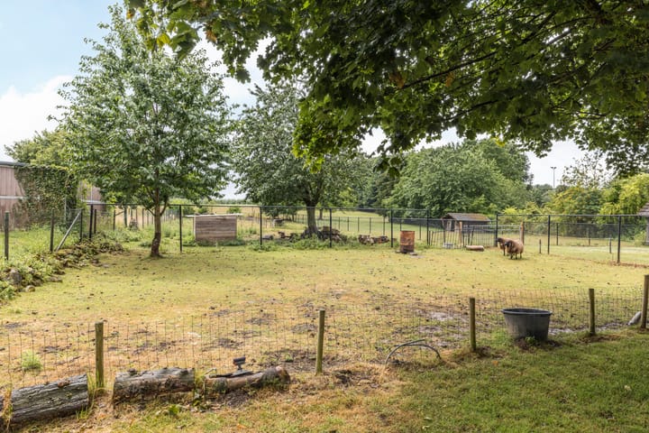 Foto 33 van Bekerbaan 11