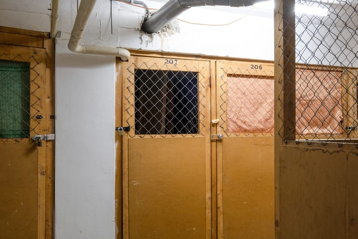 Foto 29 van Stadsmatenstraat 1-207