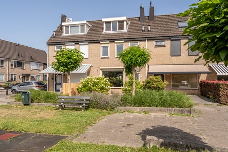 undefined main image