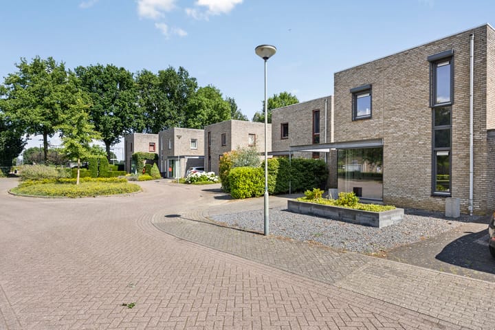 Foto 2 van Collinserf 12