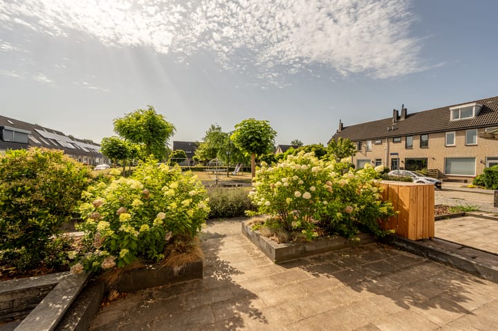 Foto 29 van Biezensnijder 3