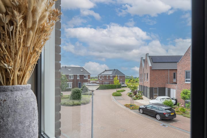 Foto 39 van Sterappel 6