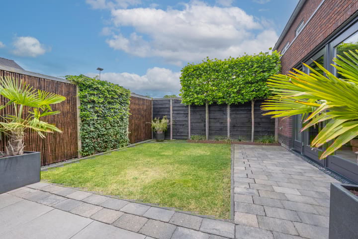 Foto 56 van Sterappel 6