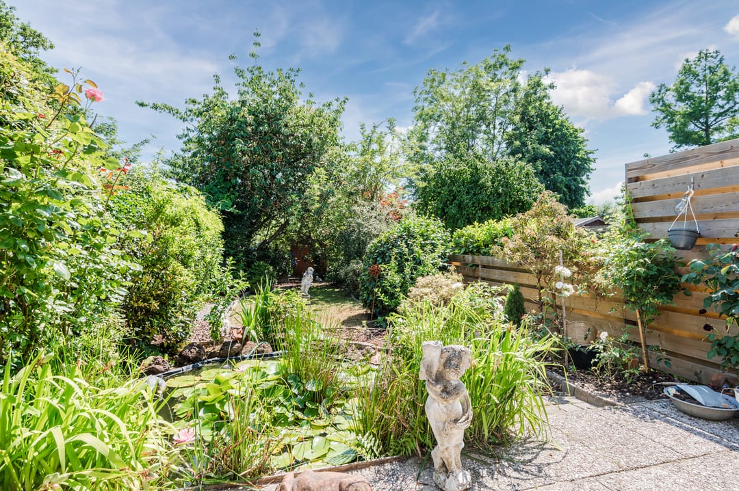 Foto 47 van Muijeveld 47