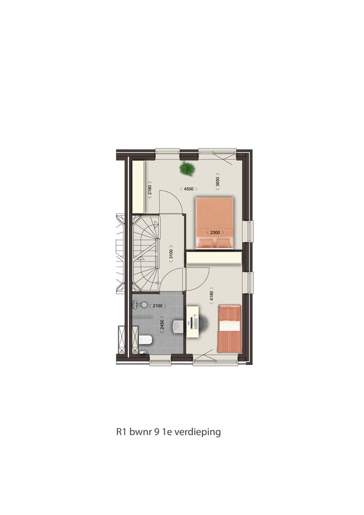 Foto 6 van Zilvertaling (Bouwnr. 9)