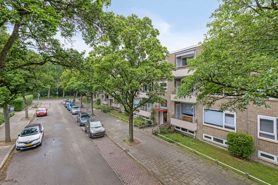 Photo 23 of Strausslaan 28