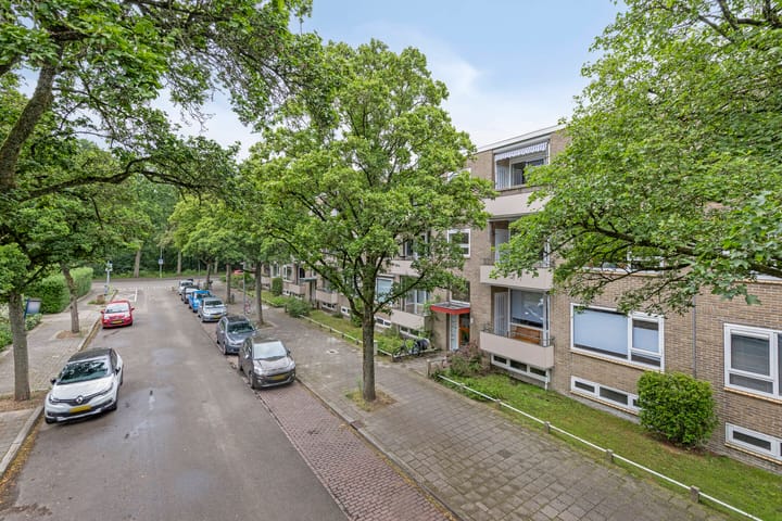 Foto 23 van Strausslaan 28