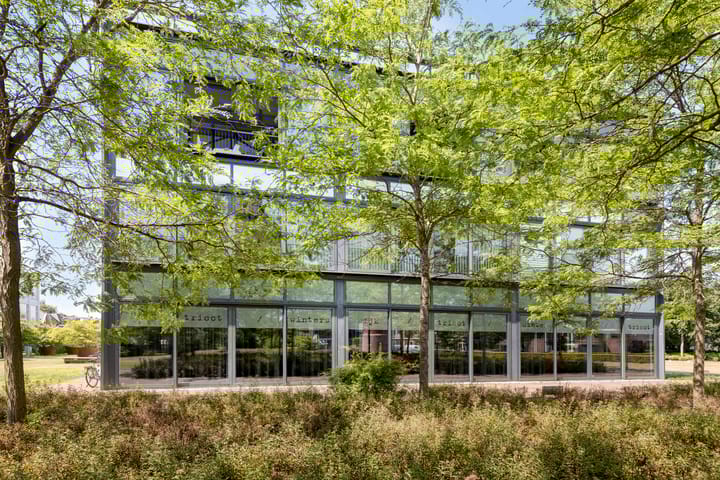 Foto 51 van Tricot 27