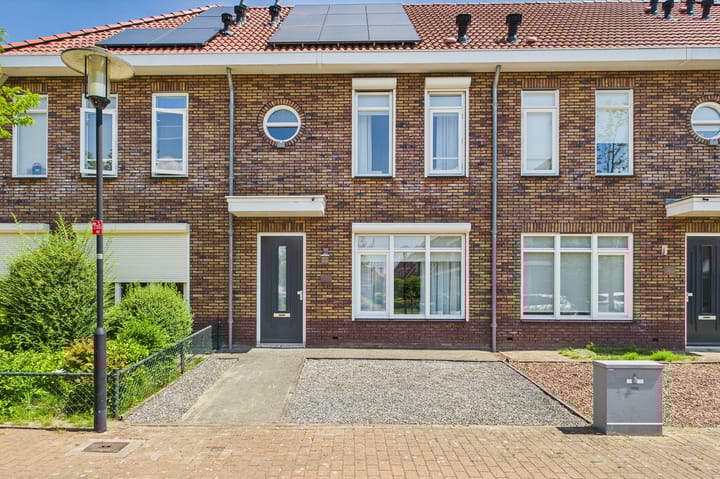 Foto 1 van Tapijtschelp 60