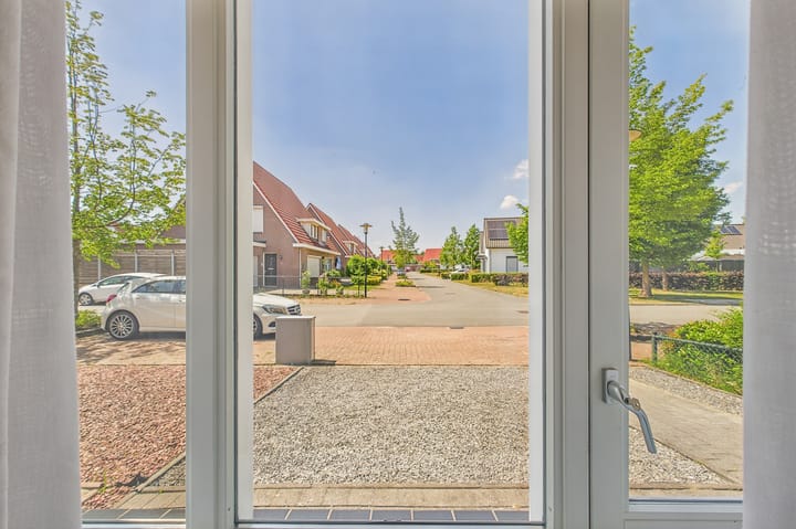 Foto 5 van Tapijtschelp 60