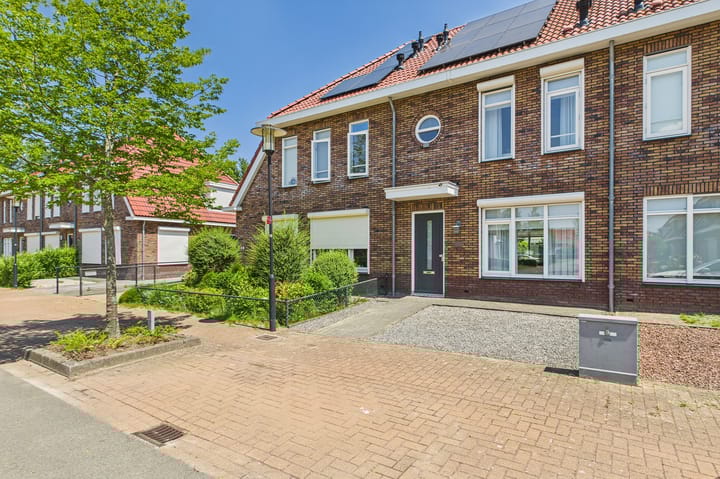 Foto 6 van Tapijtschelp 60