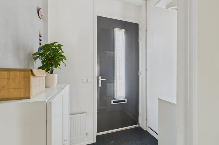 Foto 7 van Tapijtschelp 60