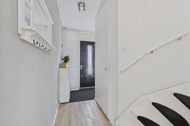 Foto 8 van Tapijtschelp 60