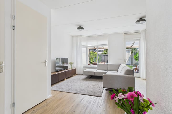 Foto 18 van Tapijtschelp 60