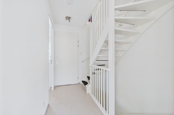 Foto 20 van Tapijtschelp 60