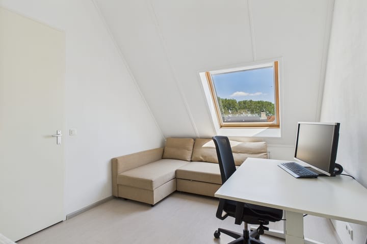 Foto 34 van Tapijtschelp 60