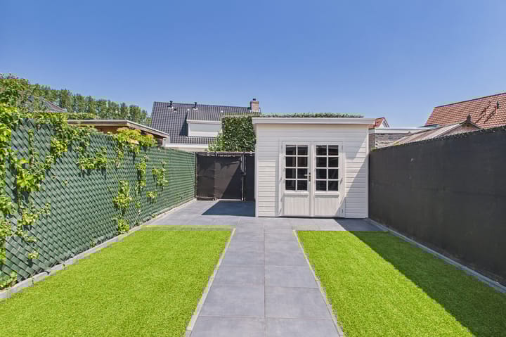 Foto 39 van Tapijtschelp 60