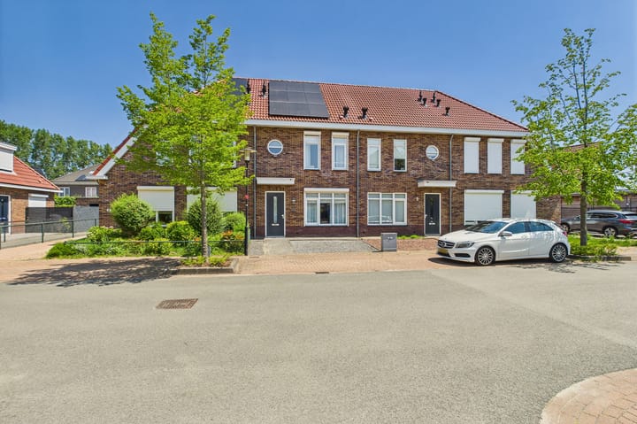 Foto 40 van Tapijtschelp 60