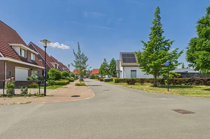 Foto 41 van Tapijtschelp 60