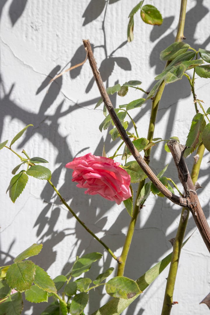 Foto 49 van Kuipersstraat 4-A