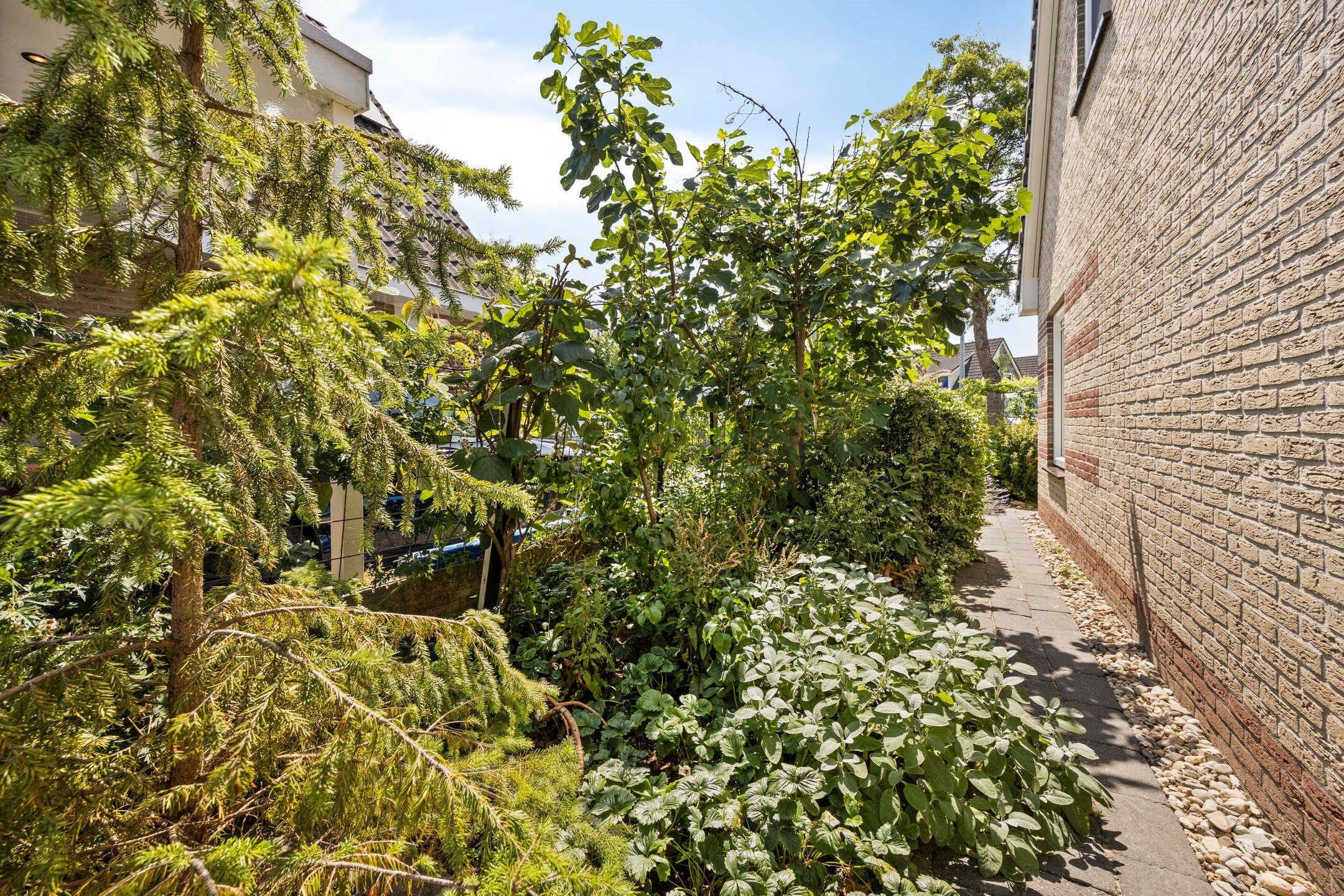 Foto 30 van Linge Singel 28