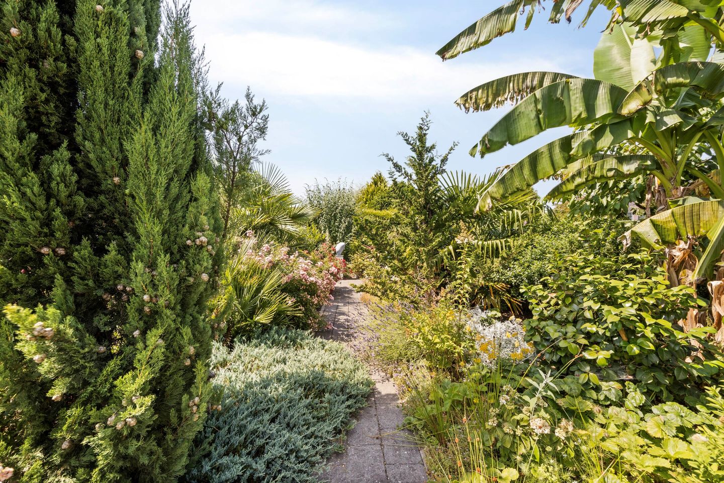 Foto 34 van Linge Singel 28