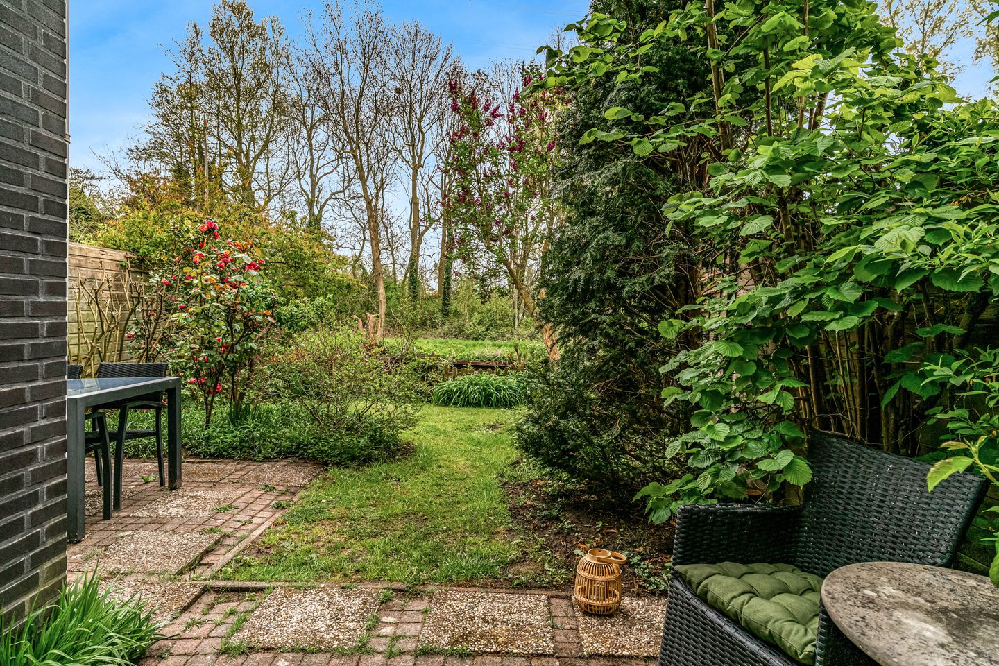 Photo 5 of Driemasterwal 11