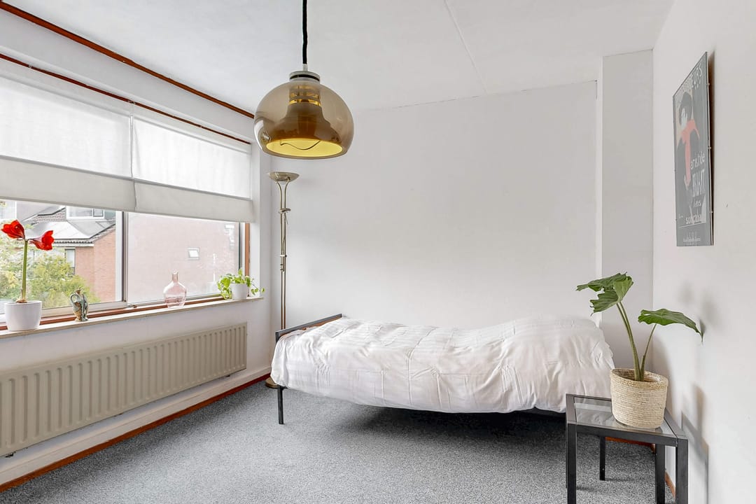 Photo 26 of Driemasterwal 11