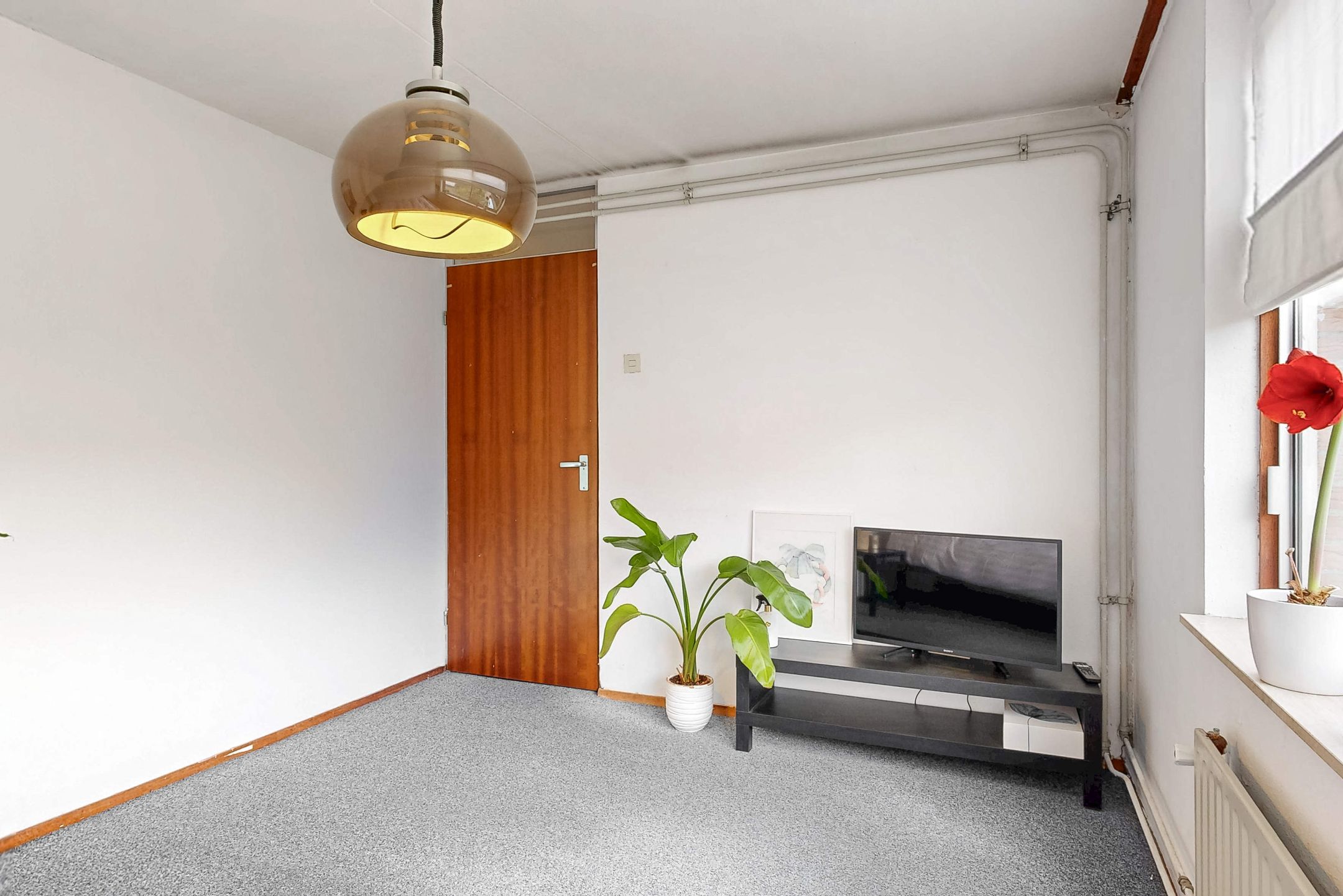 Photo 27 of Driemasterwal 11