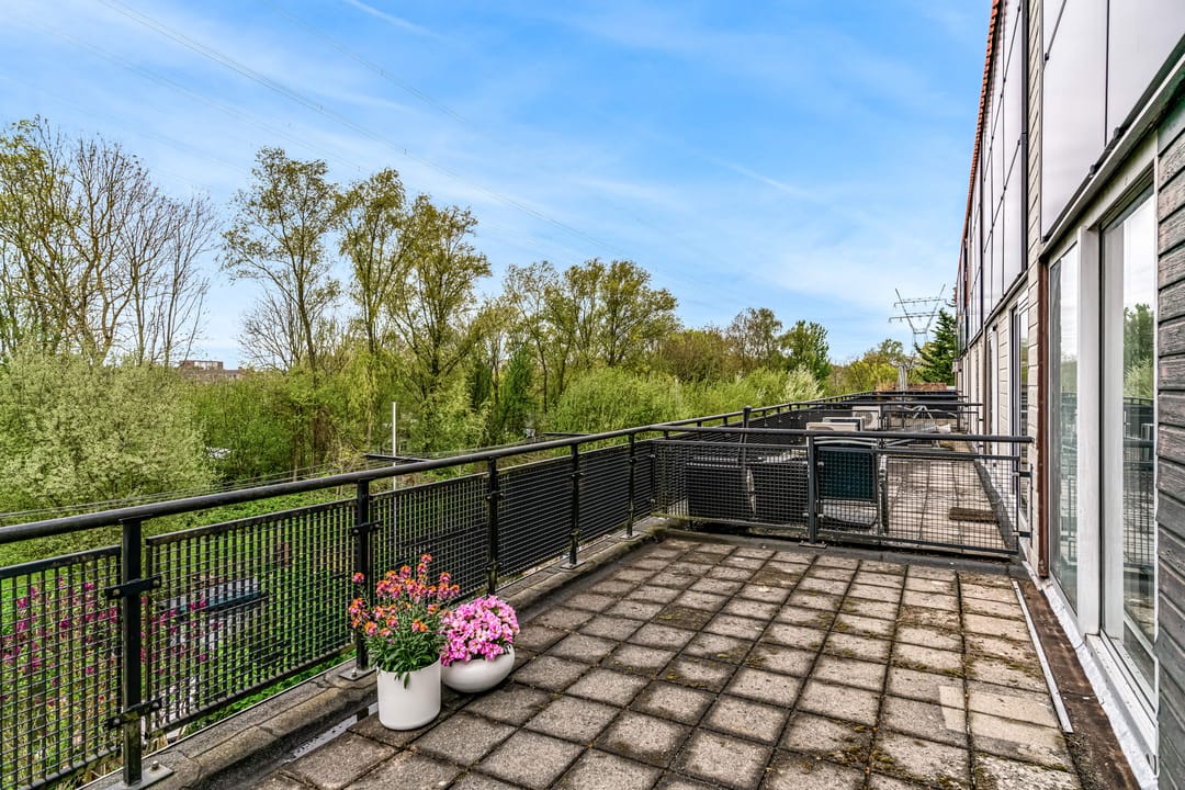 Photo 53 of Driemasterwal 11