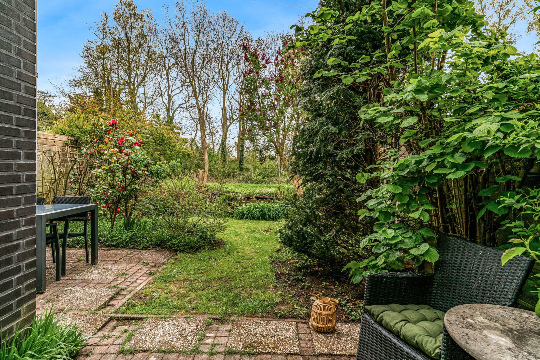 Photo 57 of Driemasterwal 11