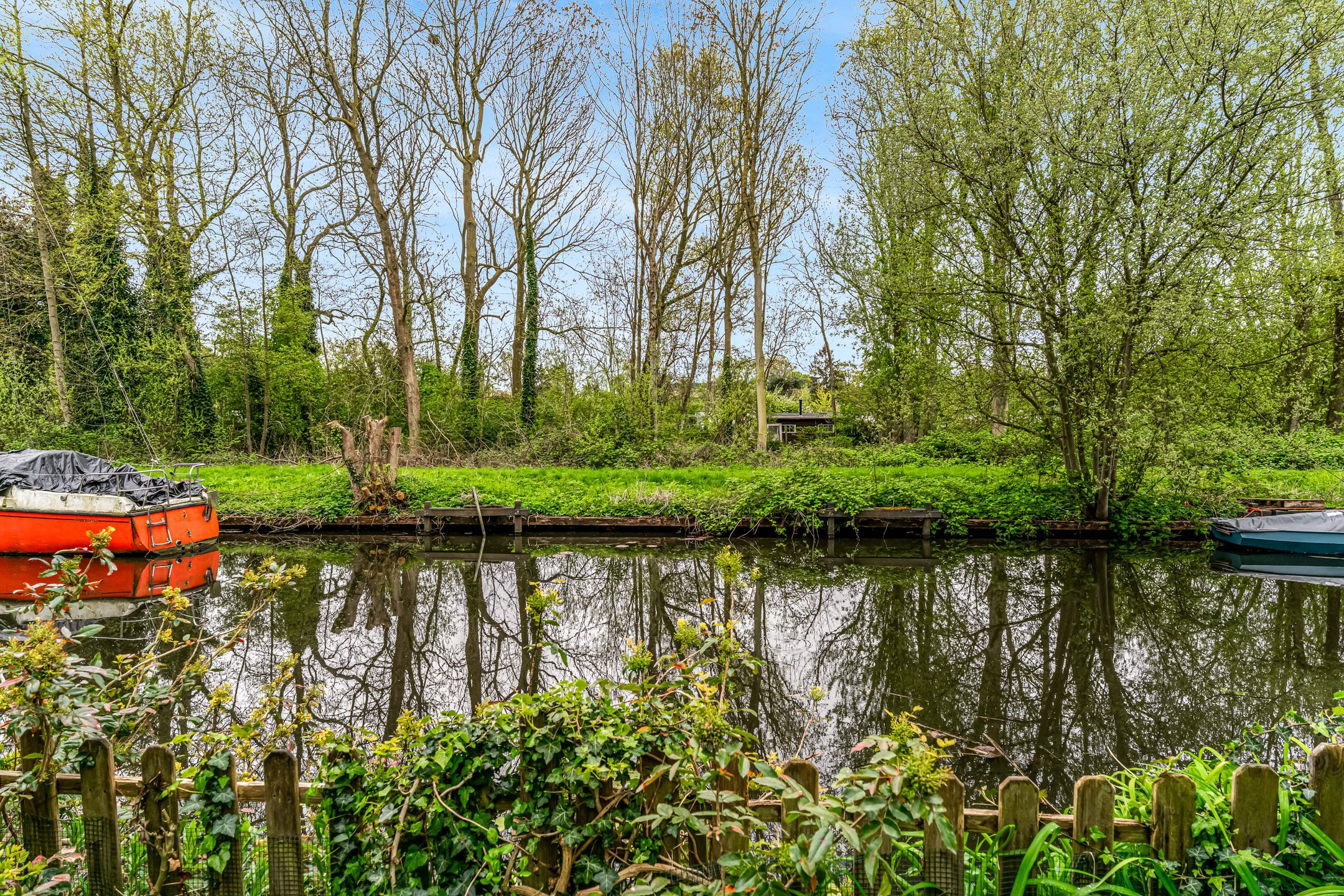 Photo 60 of Driemasterwal 11