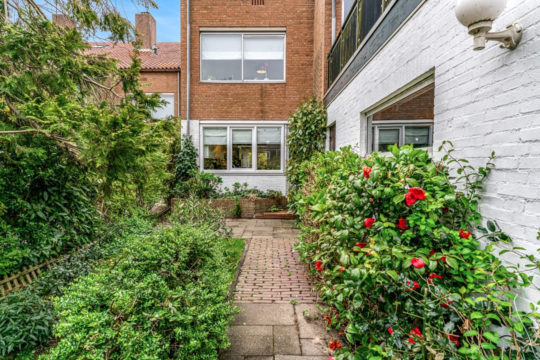 Photo 62 of Driemasterwal 11