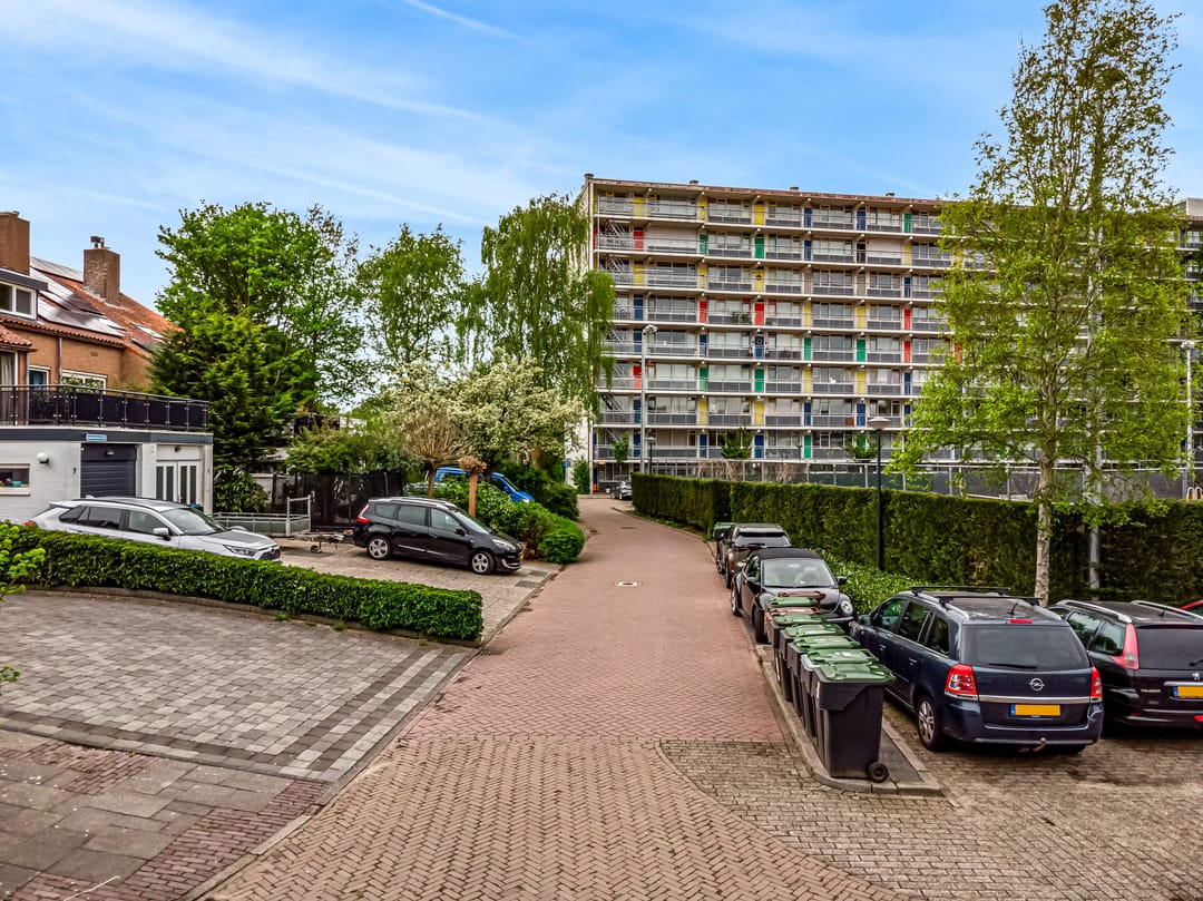 Photo 68 of Driemasterwal 11