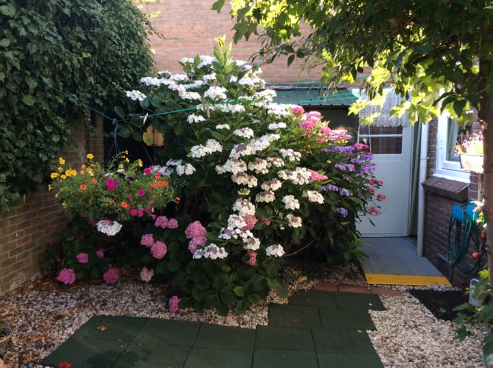 Photo 49 of Koningin Wilhelminastraat 3