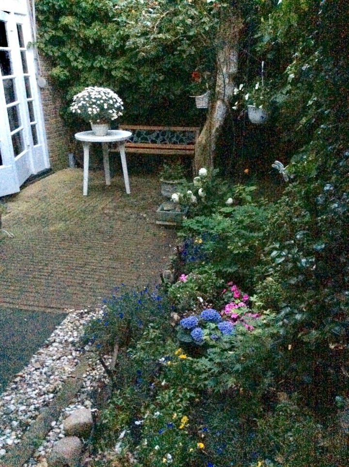 Photo 51 of Koningin Wilhelminastraat 3