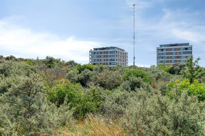 Foto 7 van Strandweg 337