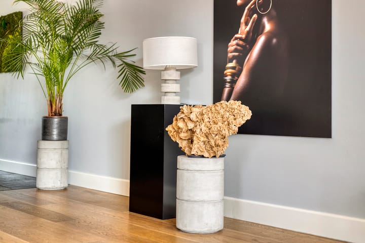 Foto 14 van Het Elferman 51