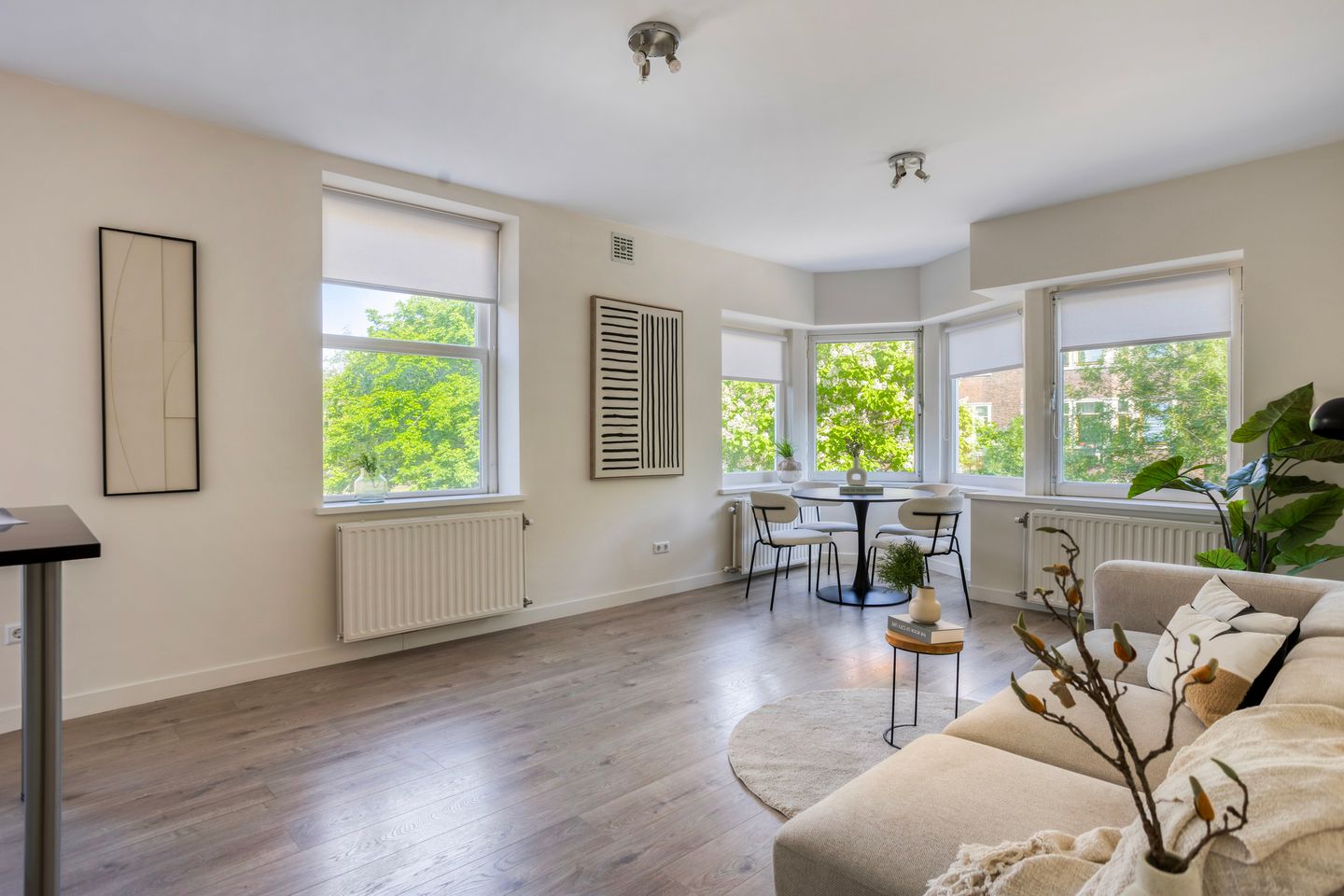 Foto 4 van Pieter van der Doesstraat 59-2