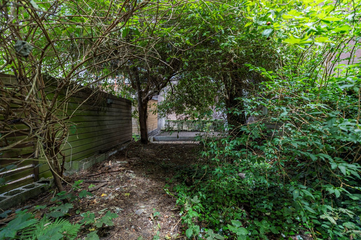 Foto 4 van Gerard Scholtenstraat 21-A