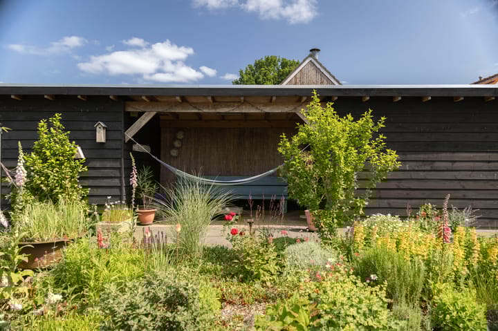 Foto 40 van Zwiepseweg 153