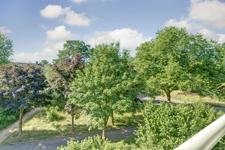 Foto 13 van Vogelplantsoen 186