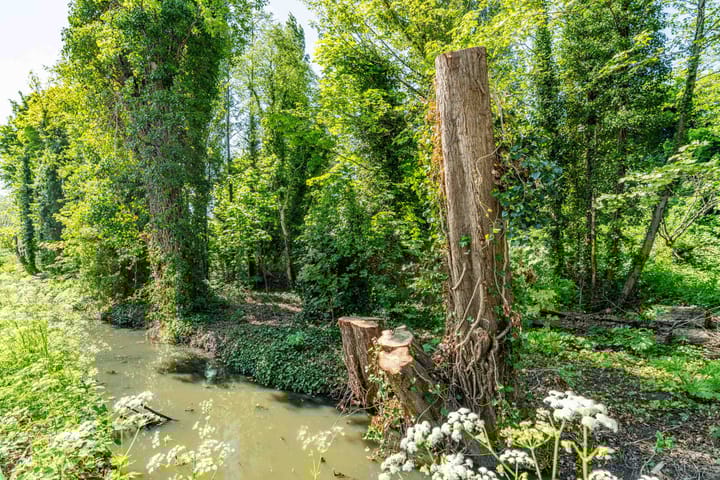 Foto 16 van van Alphenstraat 27