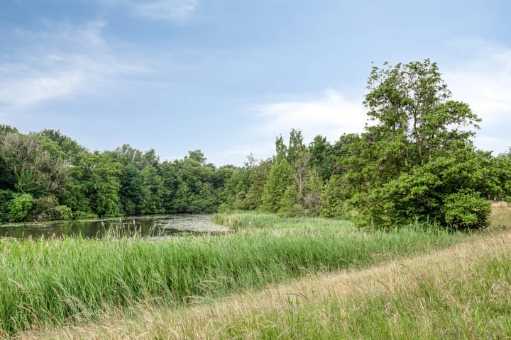 Foto 25 van Sweelinckplein 87