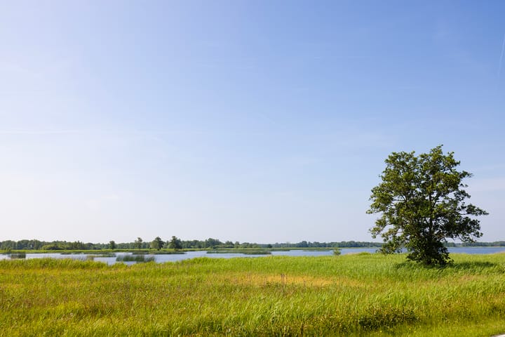 Foto 6 van Veneweg 332