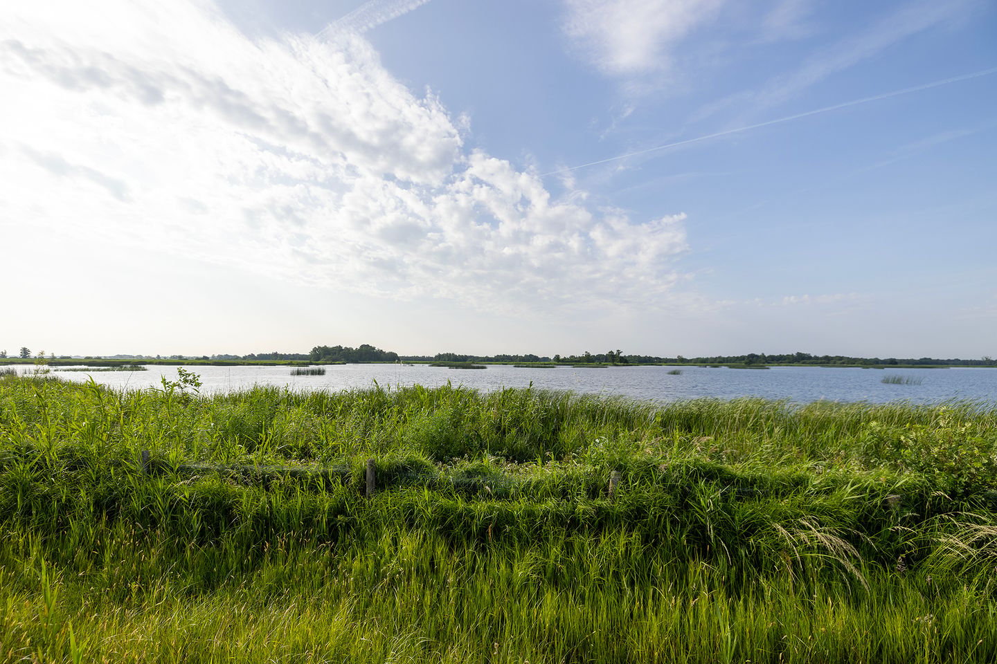 Photo 59 of Veneweg 332