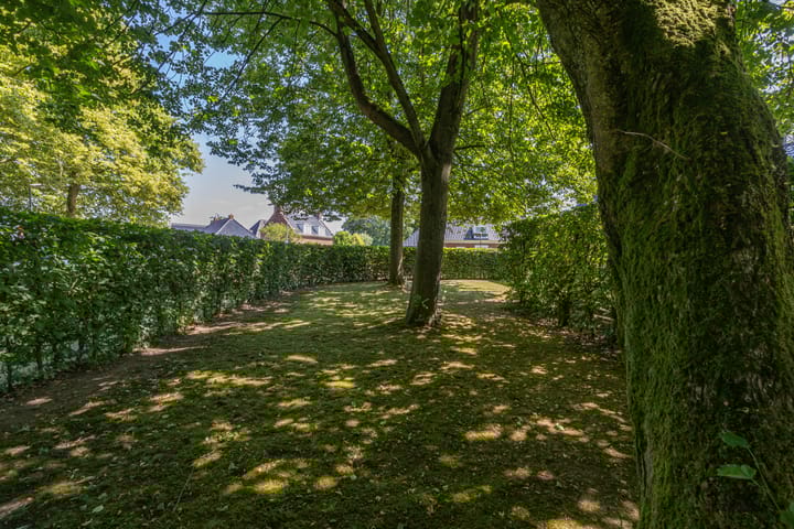 Foto 4 van Burg Seinenstraat 75