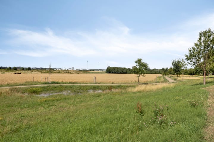 Foto 55 van Bricolaruwe 2