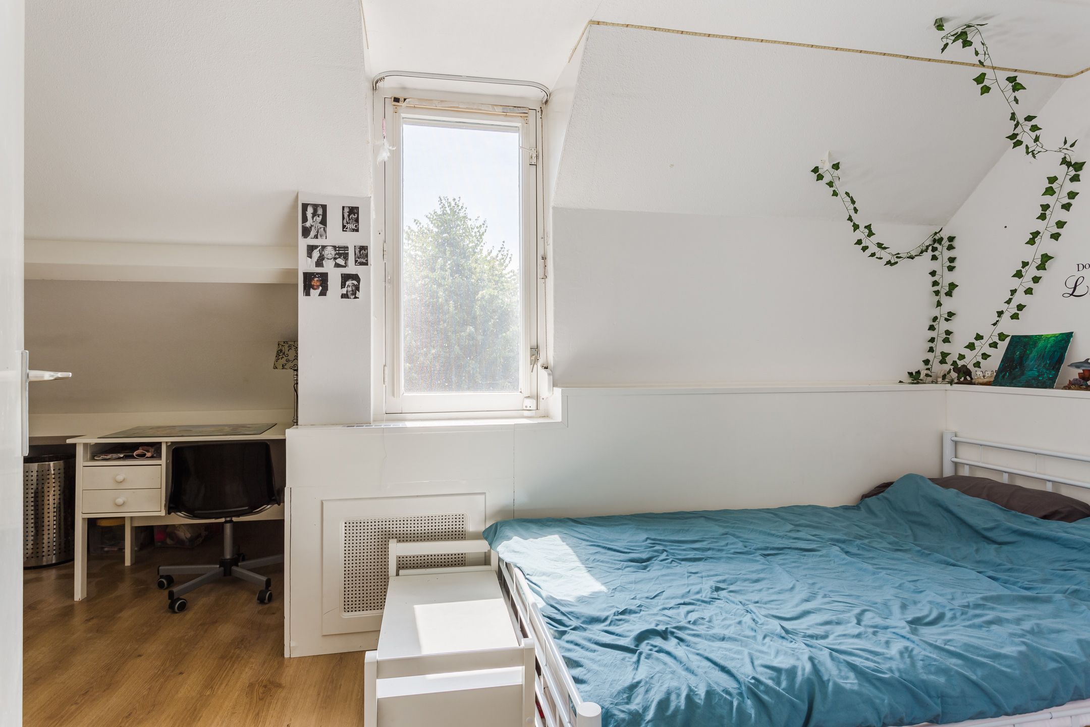 Foto 24 van Evieveld 1